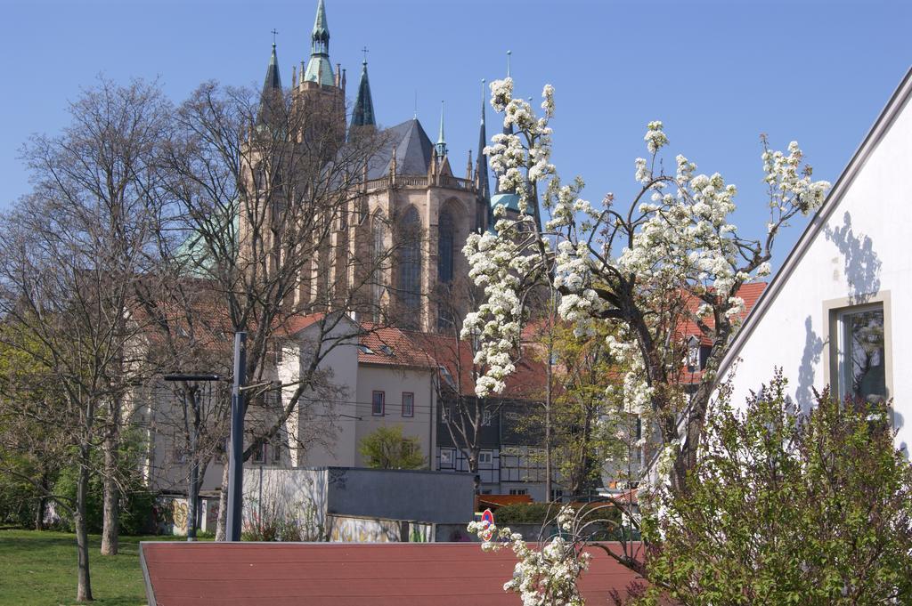 Pension Am Dom Ерфурт Екстериор снимка